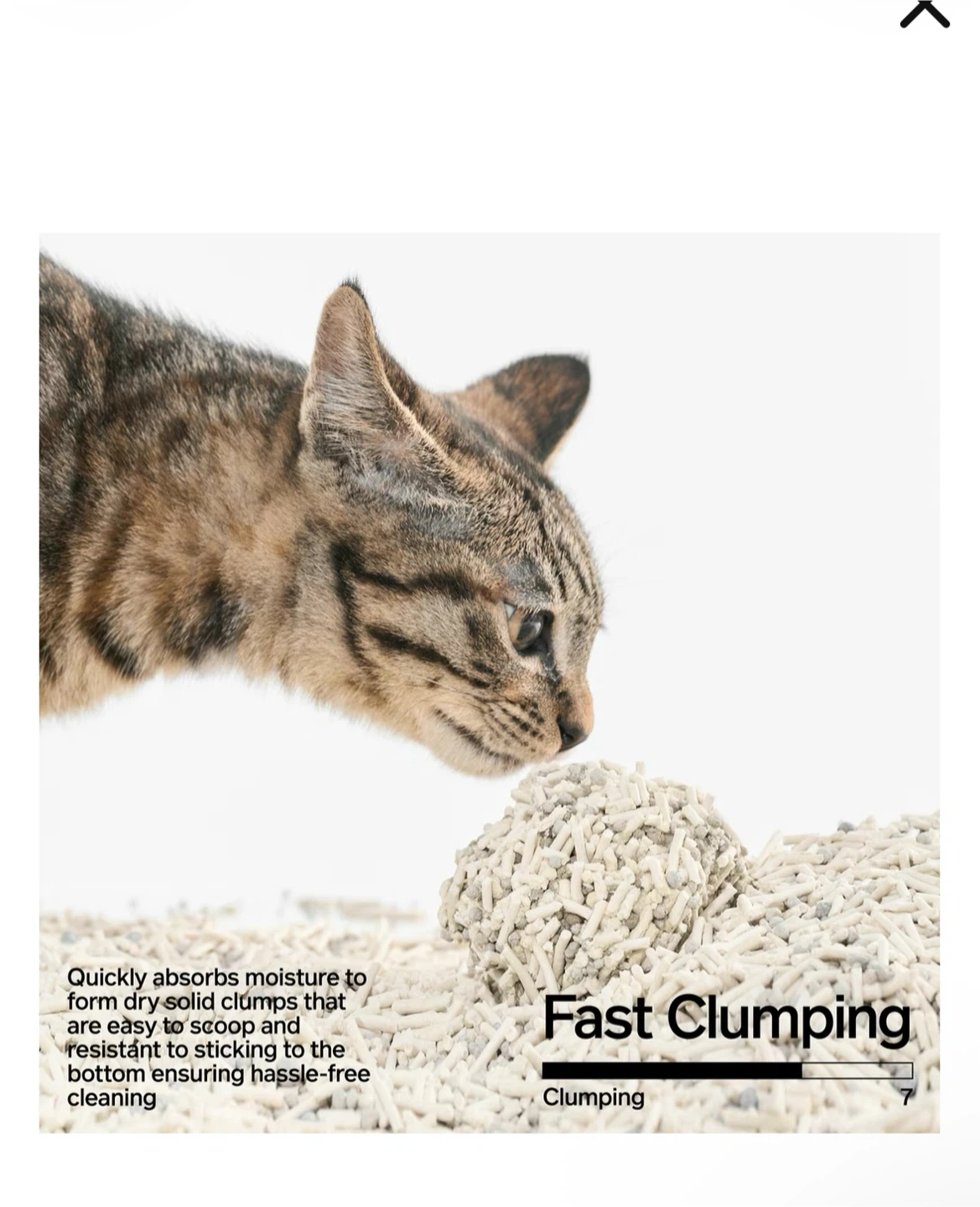 Pidan Tofu & Bentonite Clay Cat Litter - photo 5