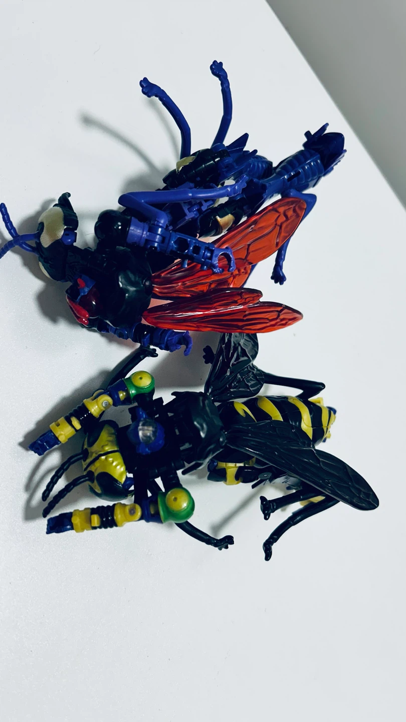 Transformers Insect Robot Action Figures – Set of 2