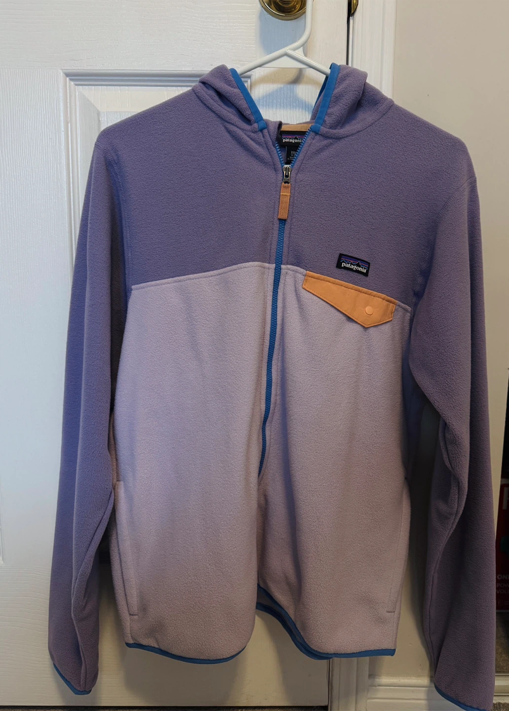 Patagonia Micro D Fleece