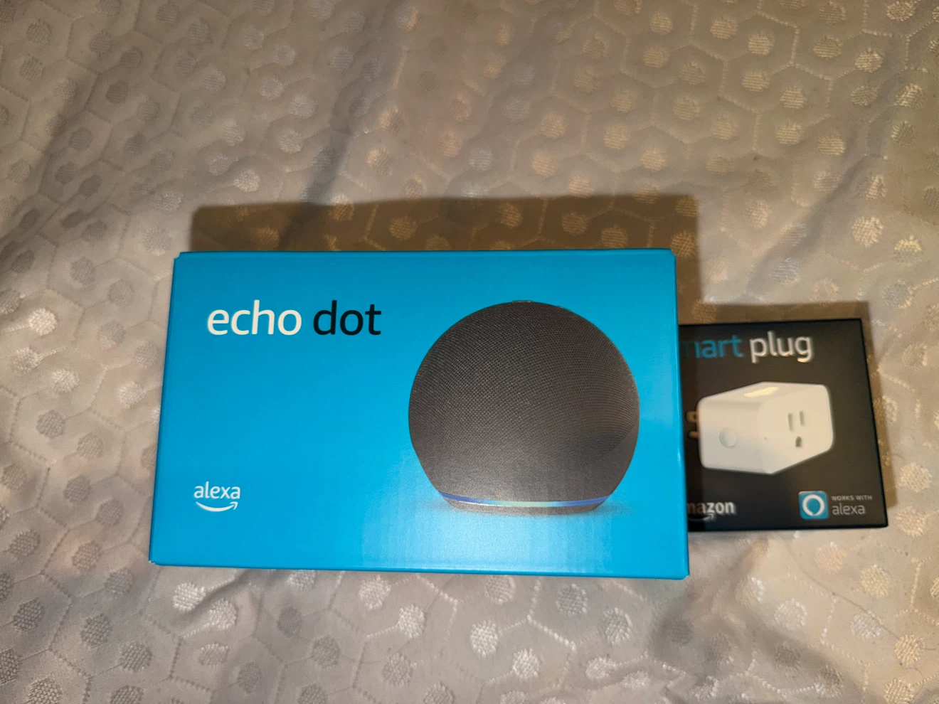 BUNDLE Amazon Echo Dot SPEAKER and Smart Plug