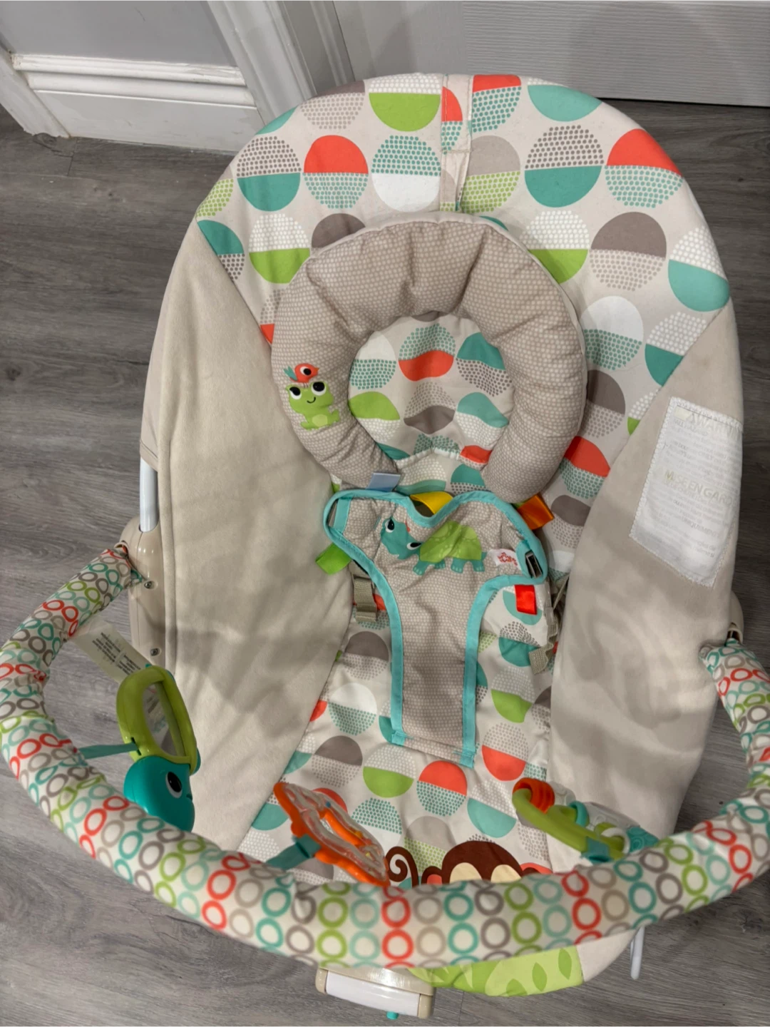 Bright Starts Baby Bouncer - photo 2