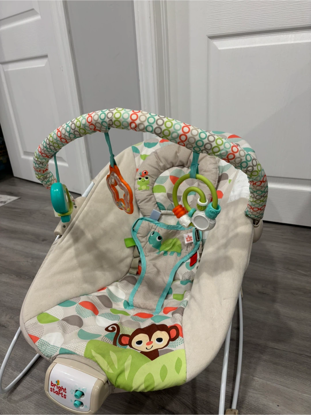 Bright Starts Baby Bouncer - photo 3
