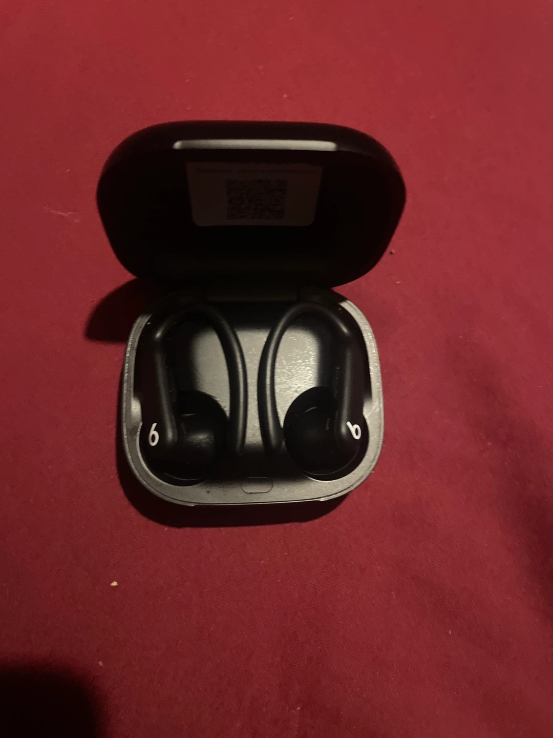 Beats Powerbeats Pro Wireless Earphones