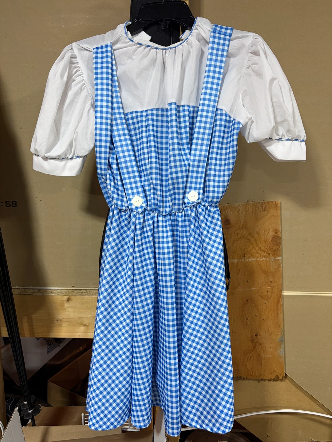 Dorothy Costume Dress - kids 10-12 years - photo 2