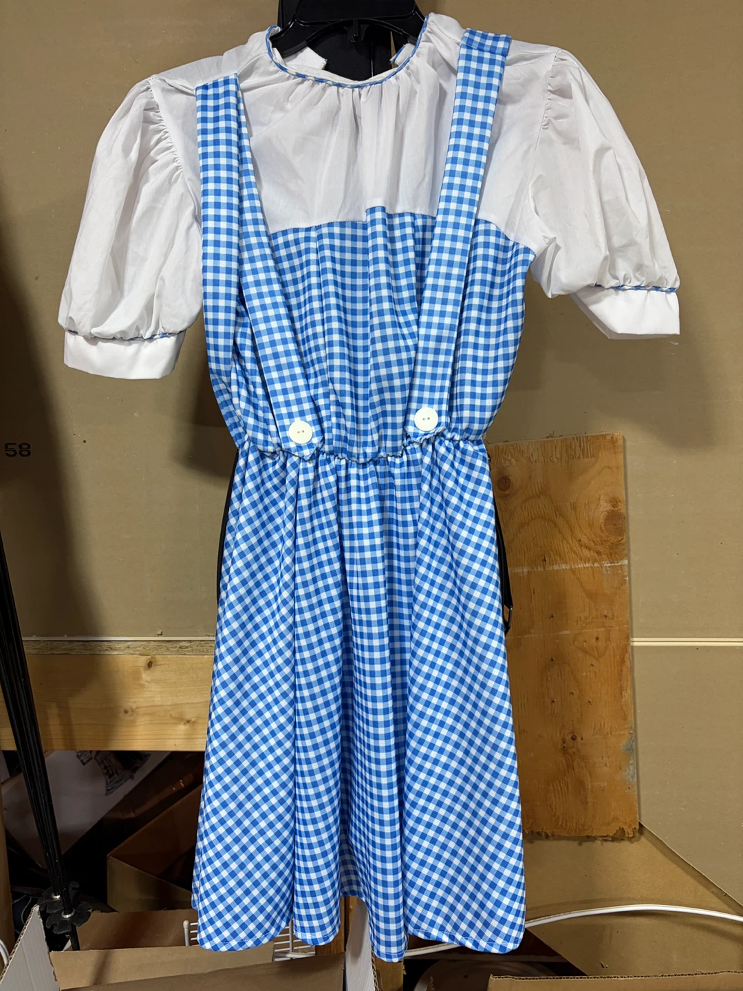 Dorothy Costume Dress - kids 10-12 years - photo 3