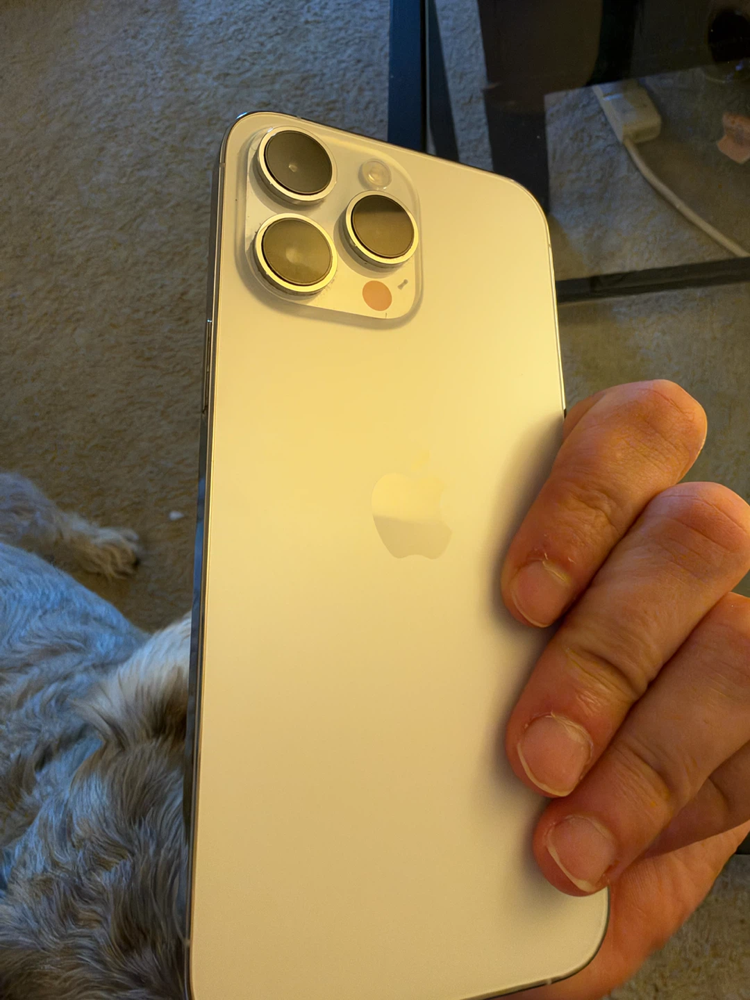 Apple iPhone 14 Pro Max White - photo 5