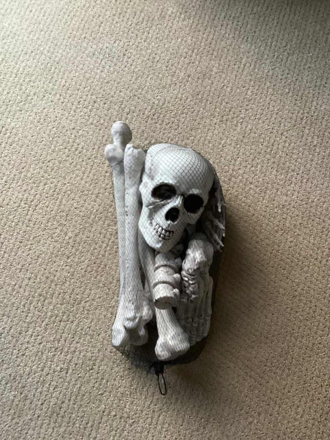 BRAND NEW BAG OF BONES (READ LISTING)