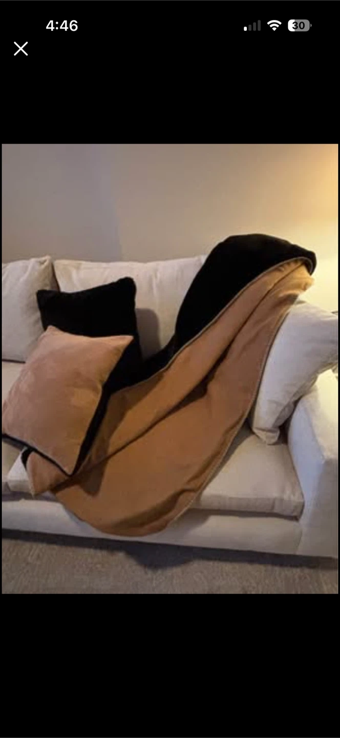 Throw and cushions