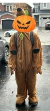 Men Scooby Doo costume size large/ extra large