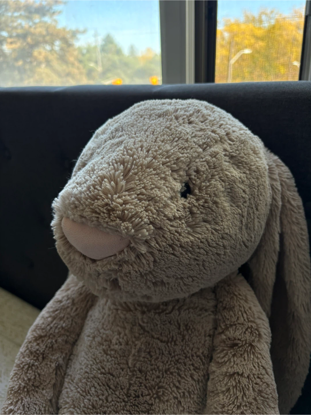 BASHFUL BEIGE BUNNY GIANT JELLYCAT (Looking for a new home <3) - photo 3