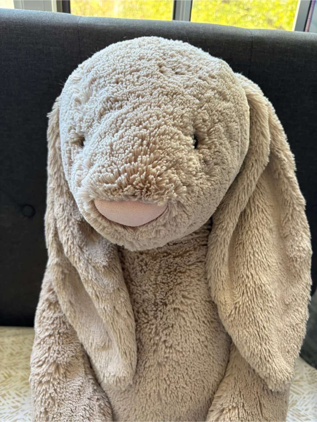 BASHFUL BEIGE BUNNY GIANT JELLYCAT (Looking for a new home <3) - photo 5