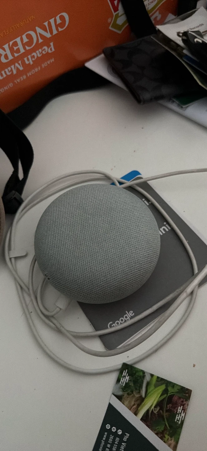Google Home Mini