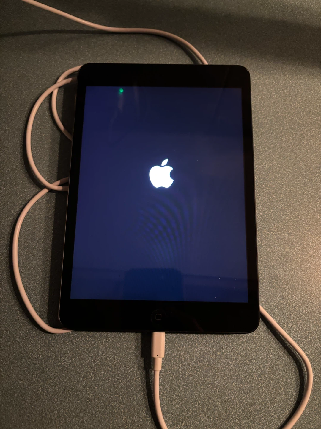 Apple iPad mini - photo 2