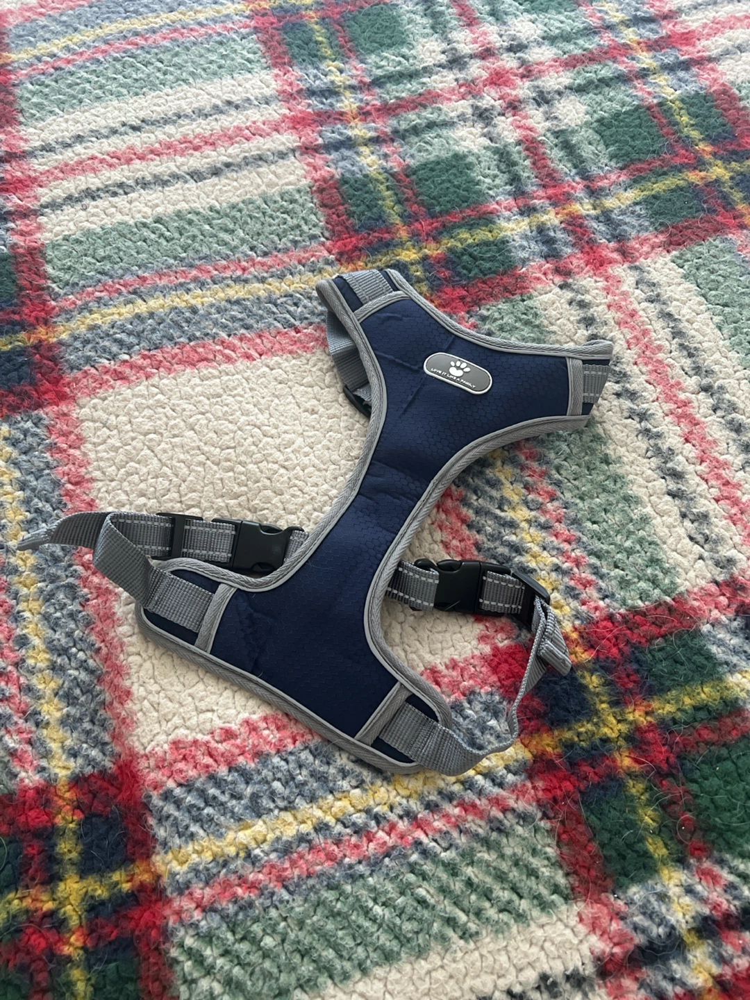 Bright Paws Step-In Dog Harness - Size Large