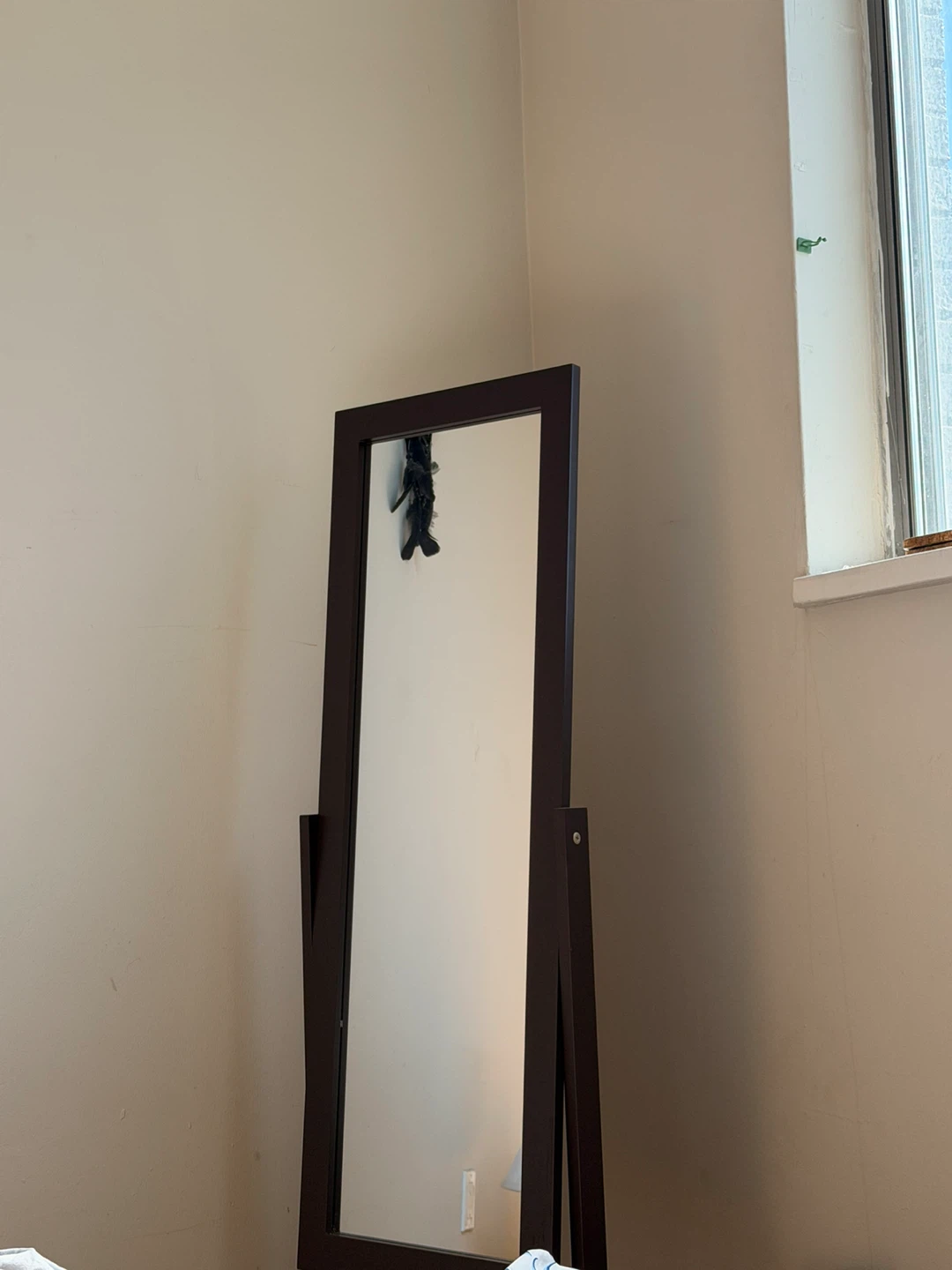 Wood Chocolate brown Standing Floor Mirror - photo 2