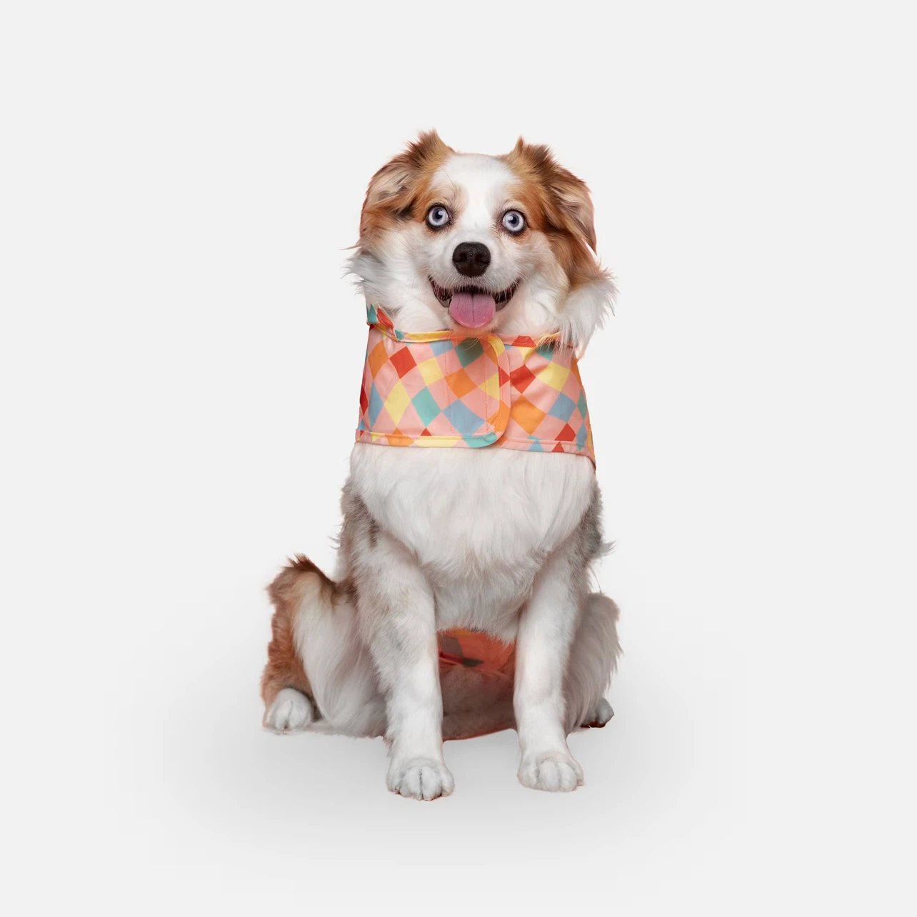 Canada Pooch Pick Me Rain Poncho Dog Raincoat - photo 2