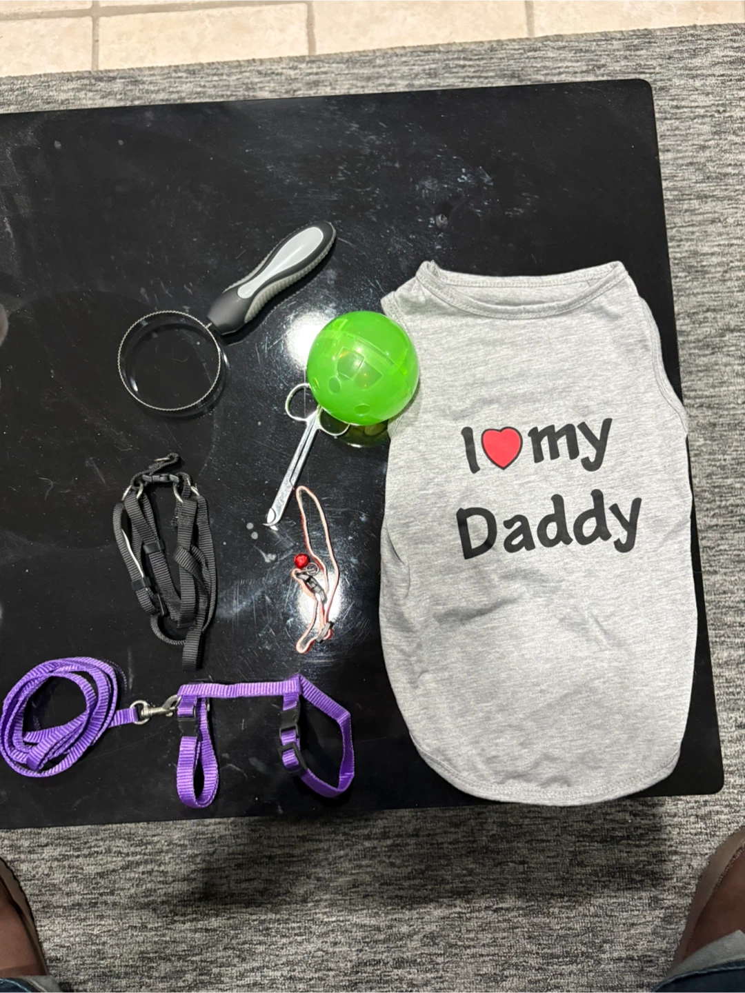 Cat Apparel and Accessories Set