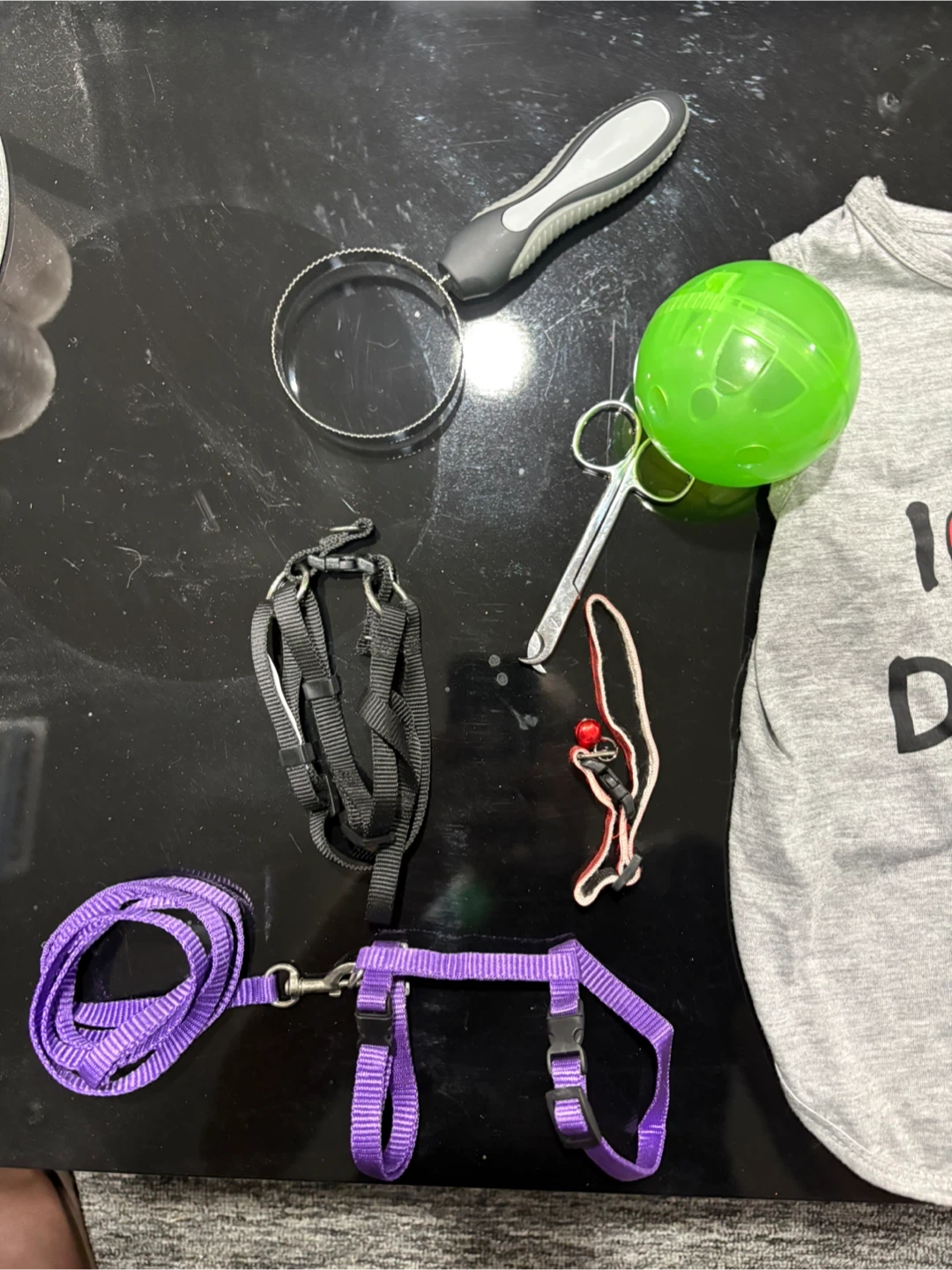 Cat Apparel and Accessories Set - photo 3