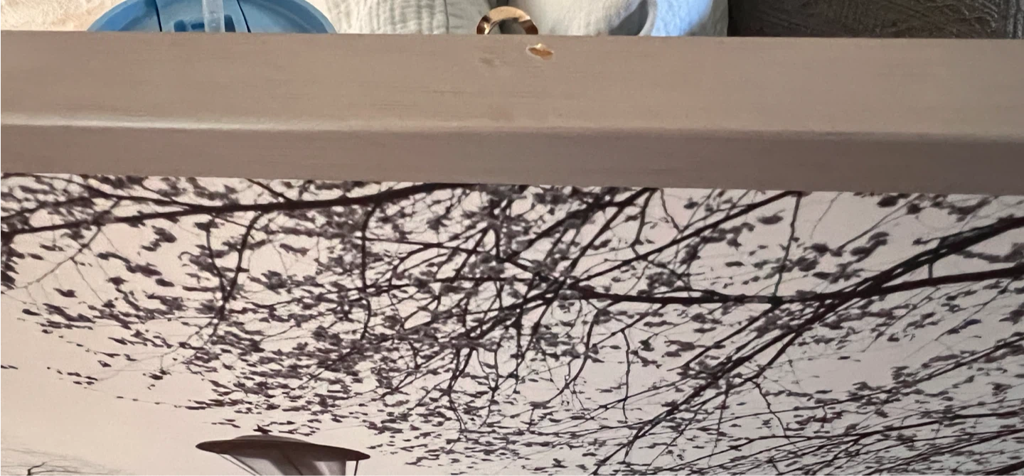 IKEA VILSHULT Framed Canvas Photograph - photo 2