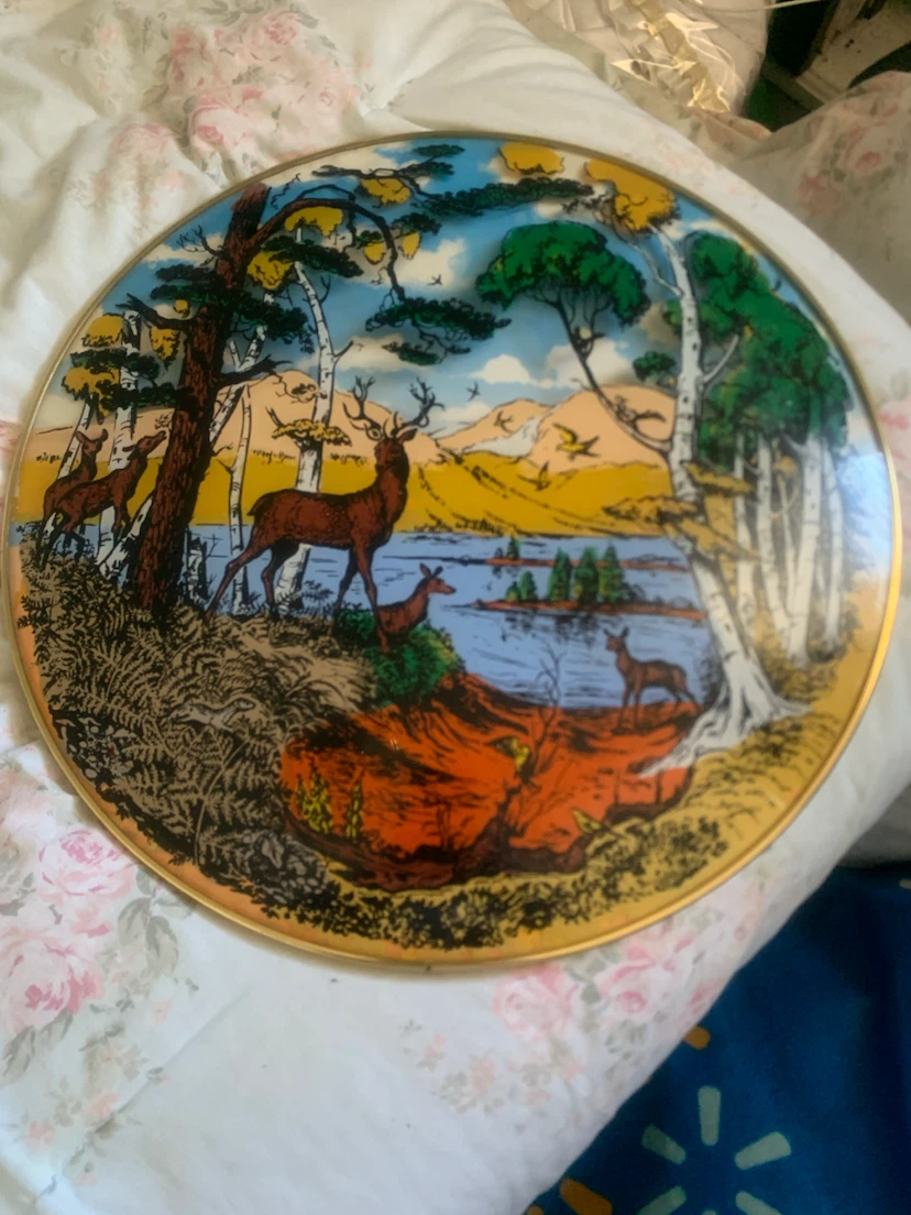 Vintage Scenic Wildlife Decorative Plate