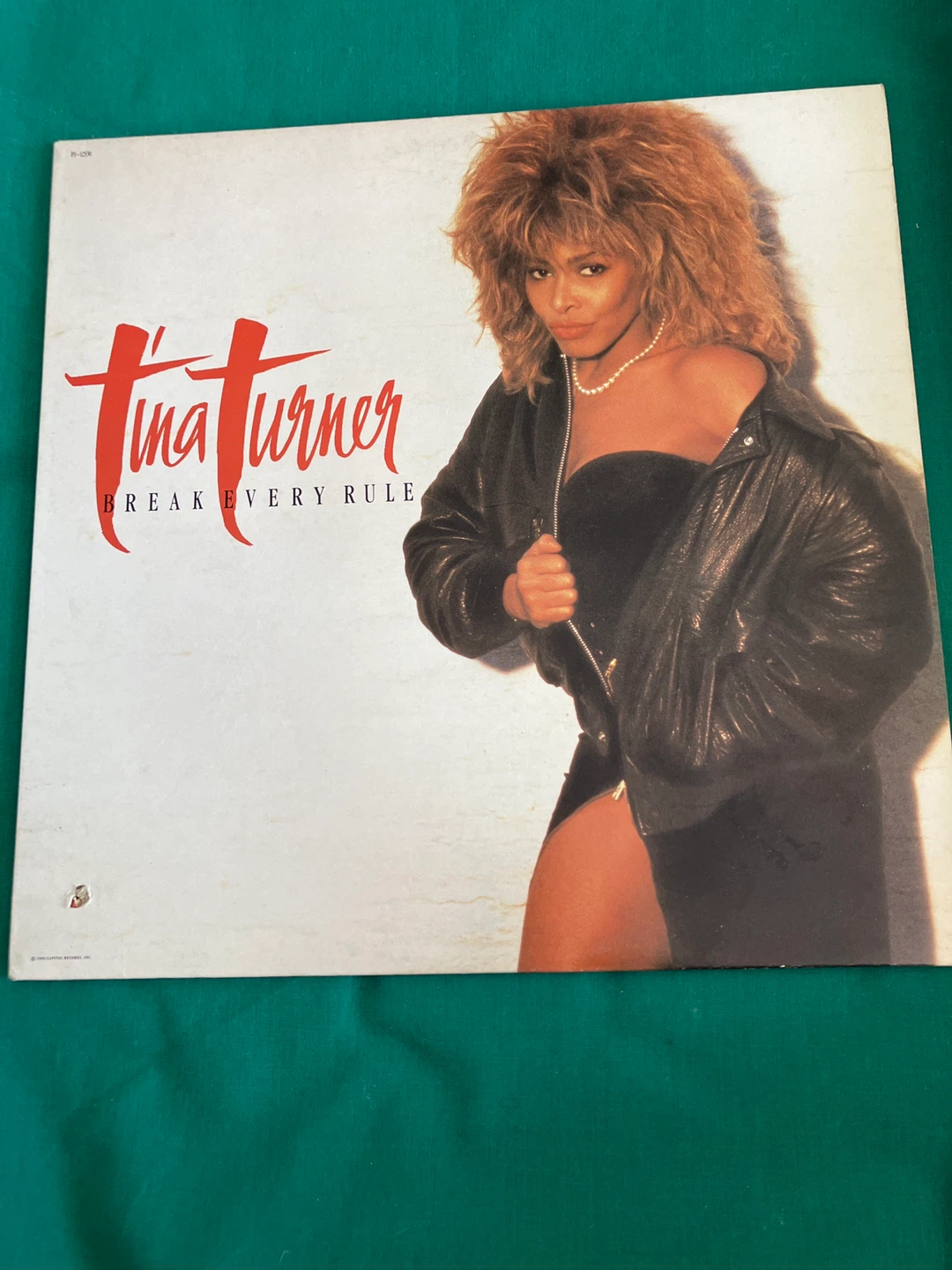 Tina Turner Break Every Rule Vinyl Record