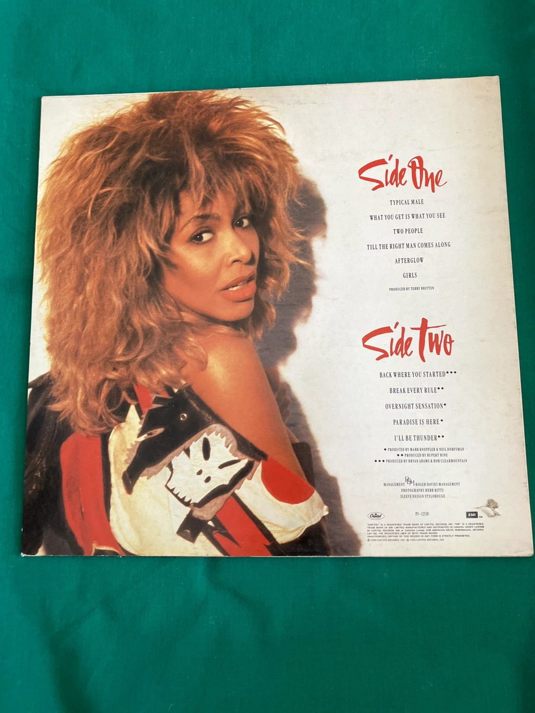 Tina Turner Break Every Rule Vinyl Record - photo 2