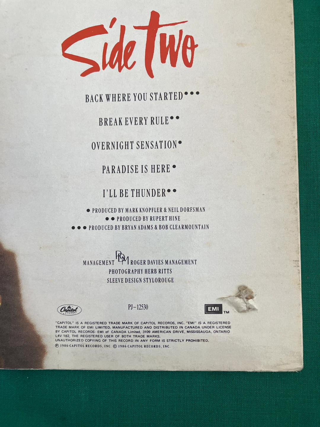 Tina Turner Break Every Rule Vinyl Record - photo 4