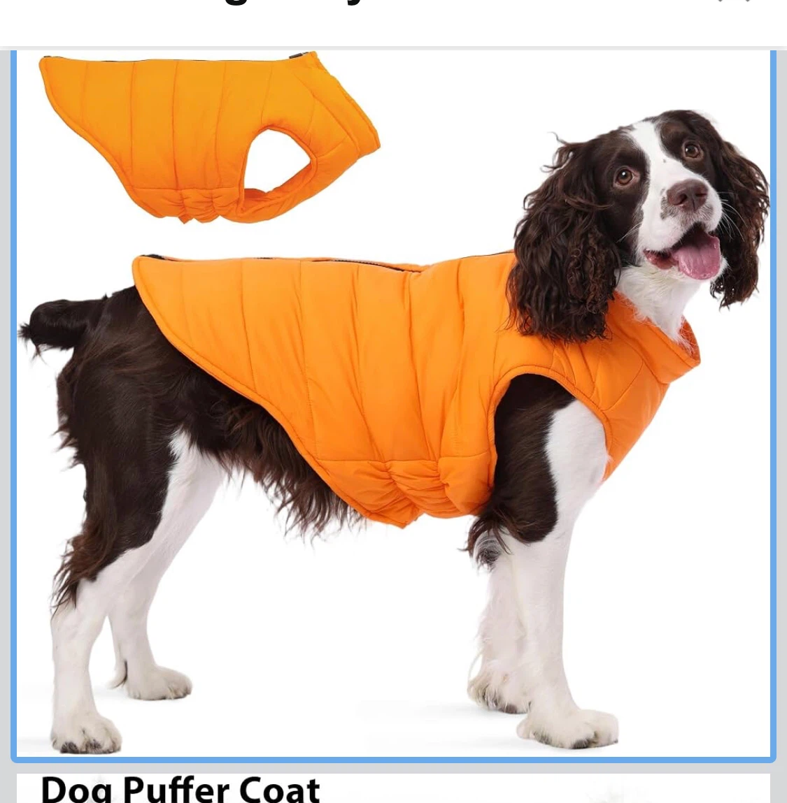 XS Dog Puffer Coat Orange detachable scarf