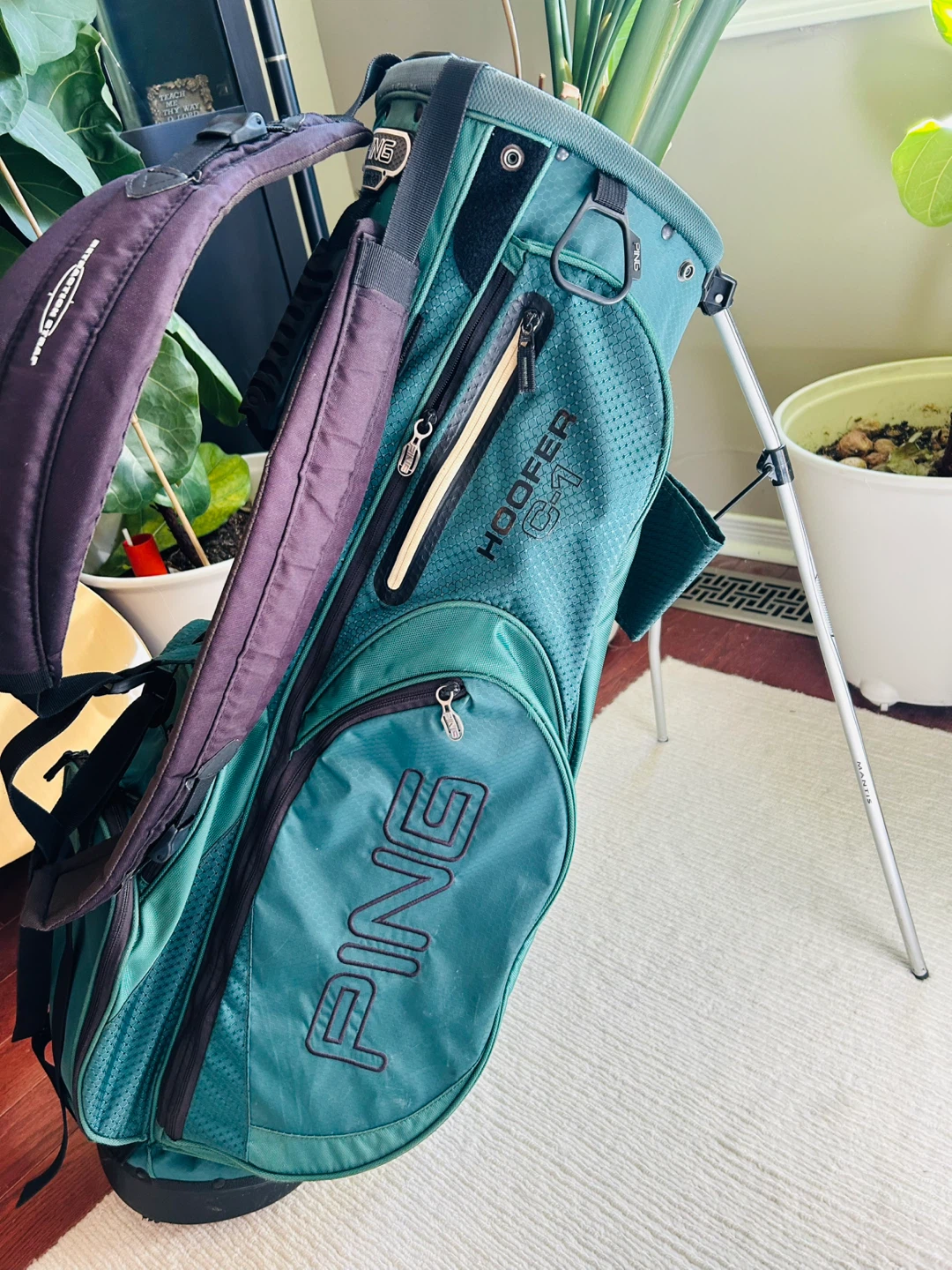 PING Hoofer C-1 Stand Golf Bag