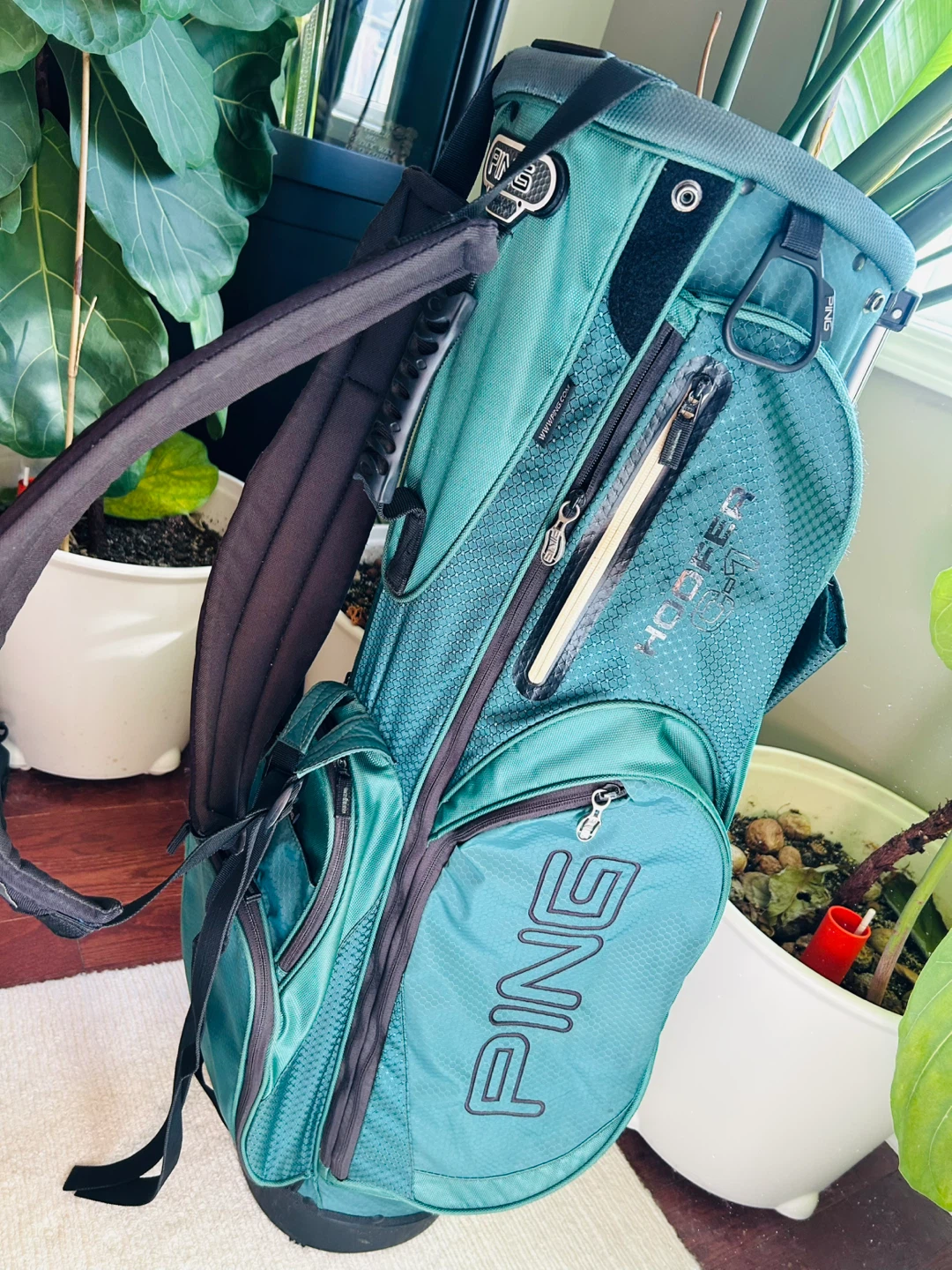 PING Hoofer C-1 Stand Golf Bag - photo 2