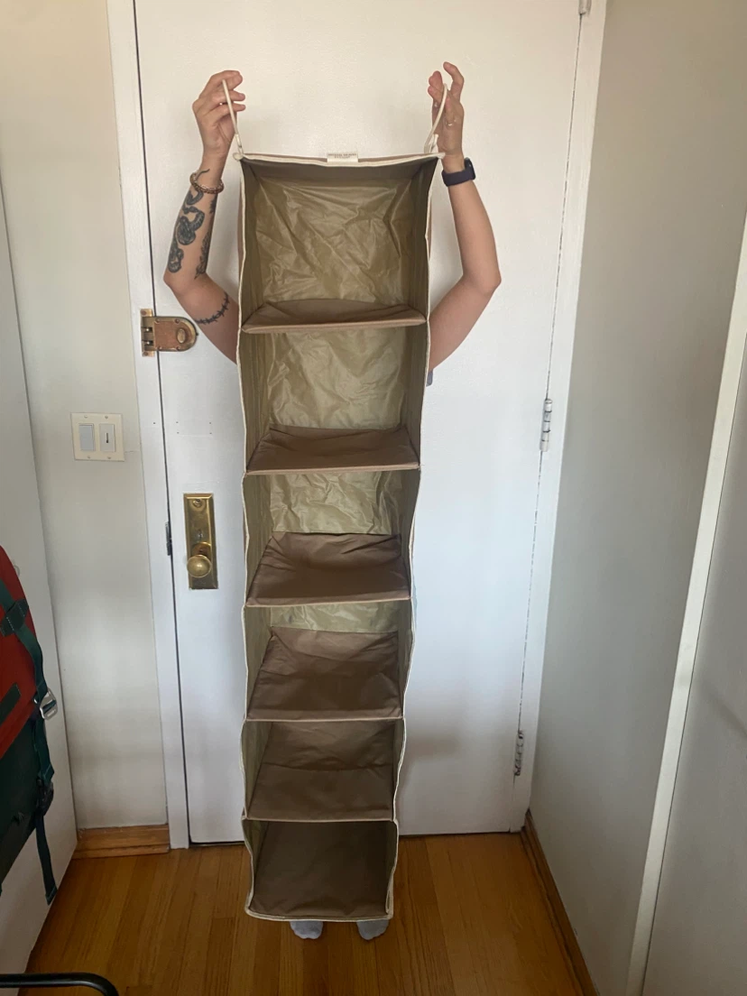 Michael Graves Design Hanging Closet Organizer