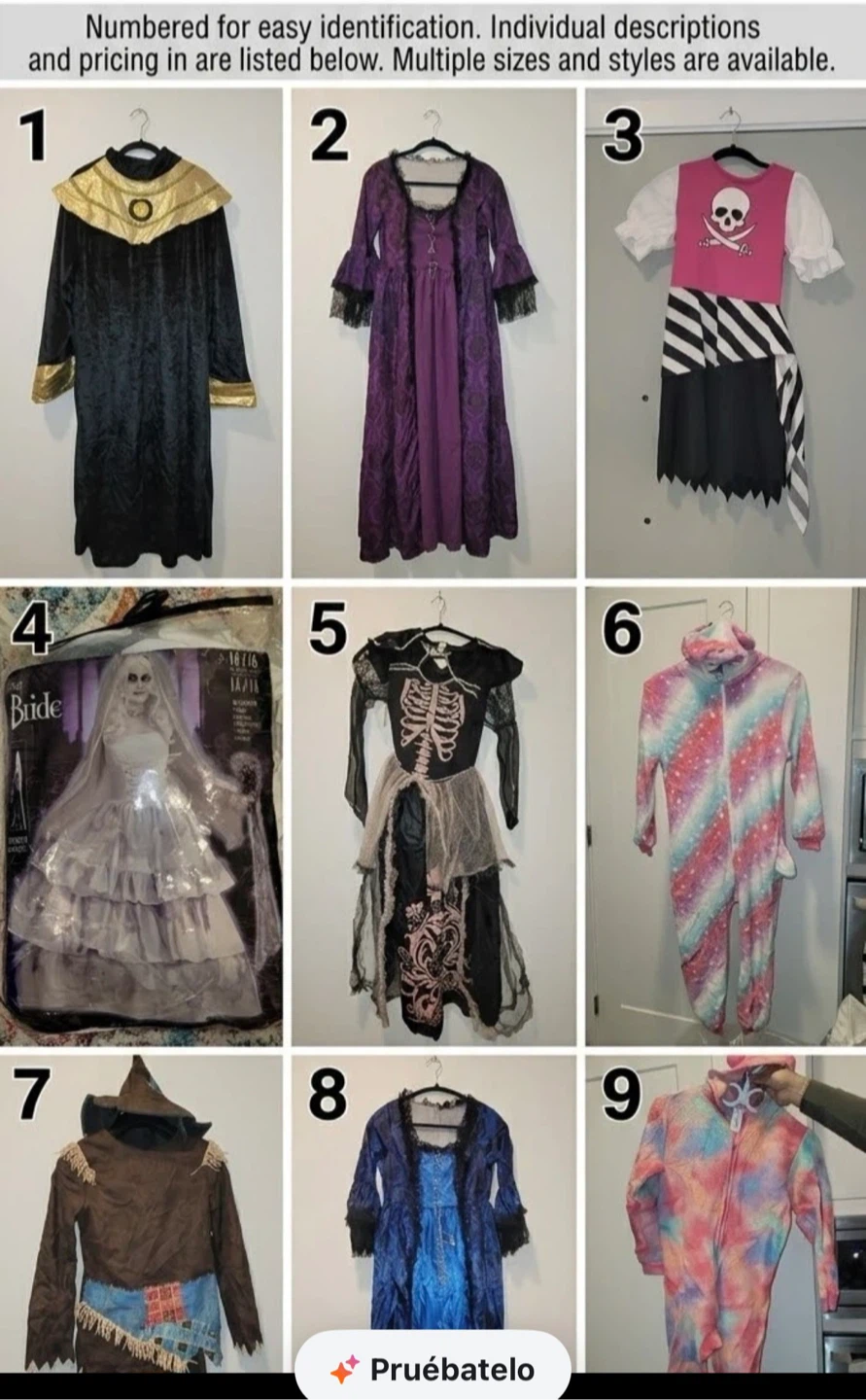 Assorted Halloween Costumes