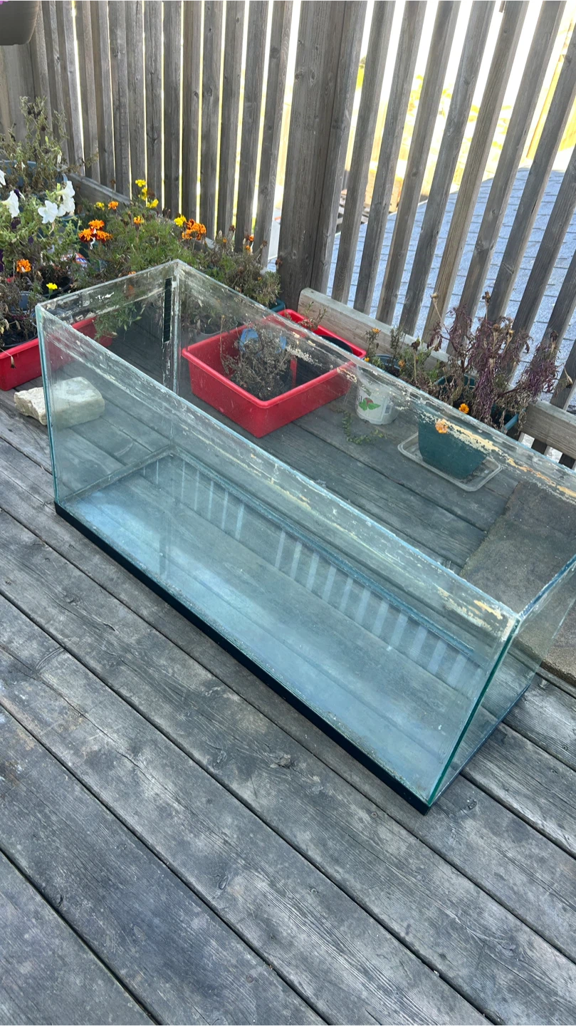 Large Glass Aquarium Tank