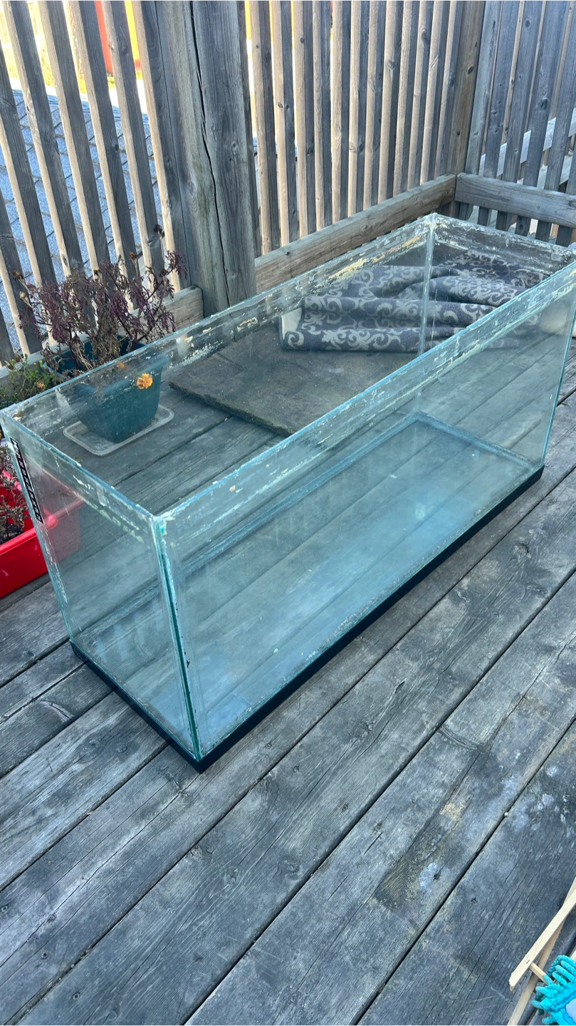 Large Glass Aquarium Tank - photo 2