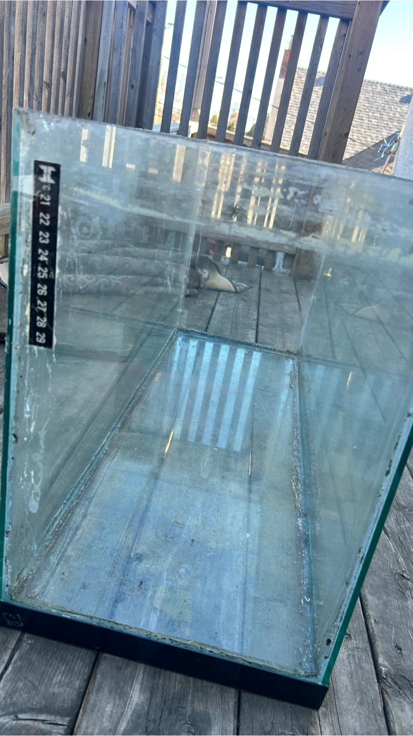 Large Glass Aquarium Tank - photo 3