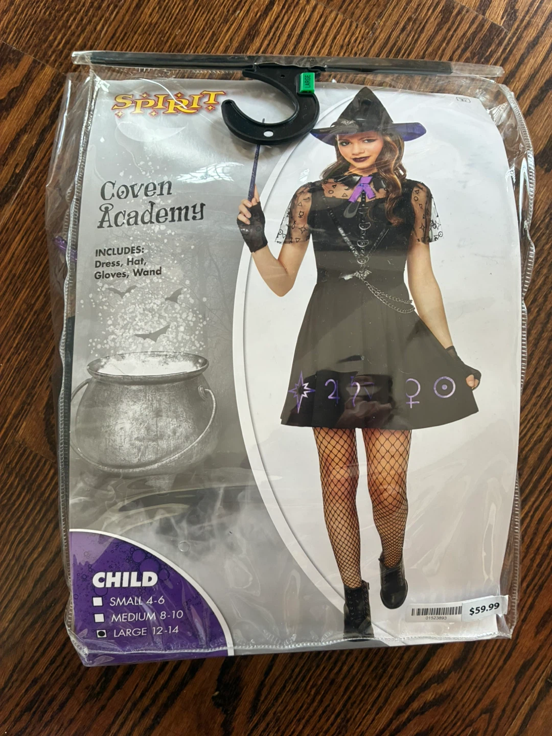 Spirit Halloween Coven Academy Costume