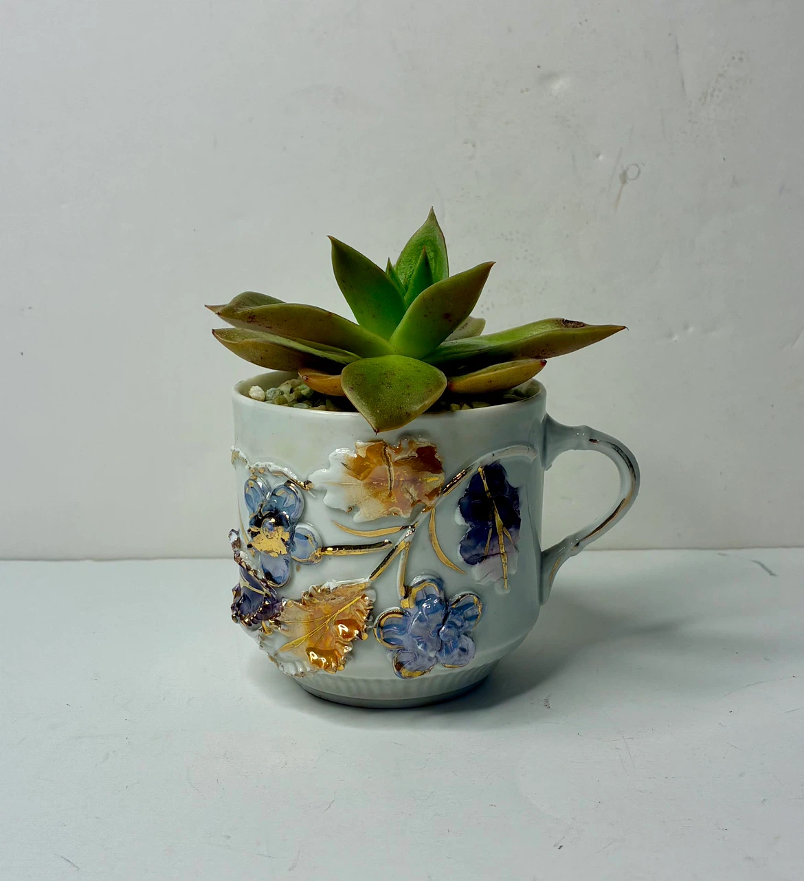 Vintage Floral Porcelain Tea Cup Planter with Live Succulent