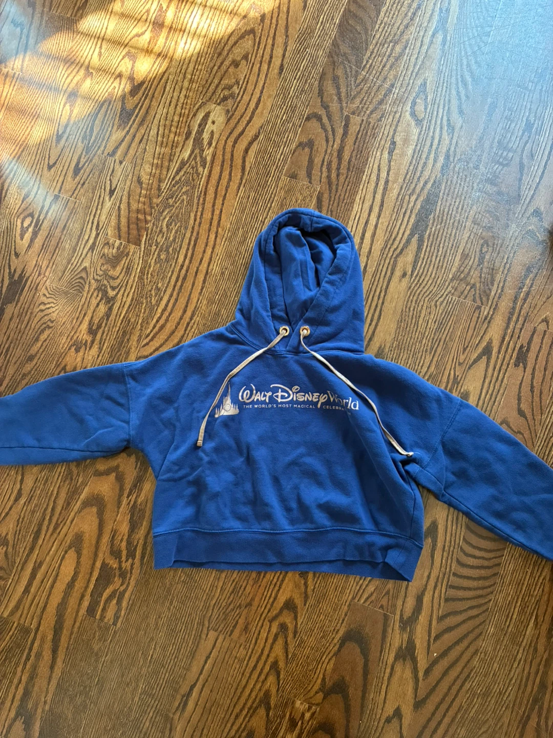 Walt Disney World Blue Hoodie