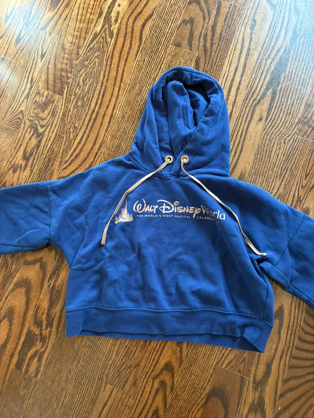 Walt Disney World Blue Hoodie - photo 2