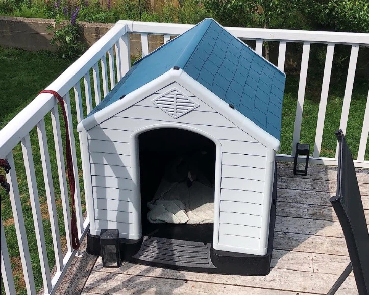 BestPet Dog House All-Weather Durable Plastic