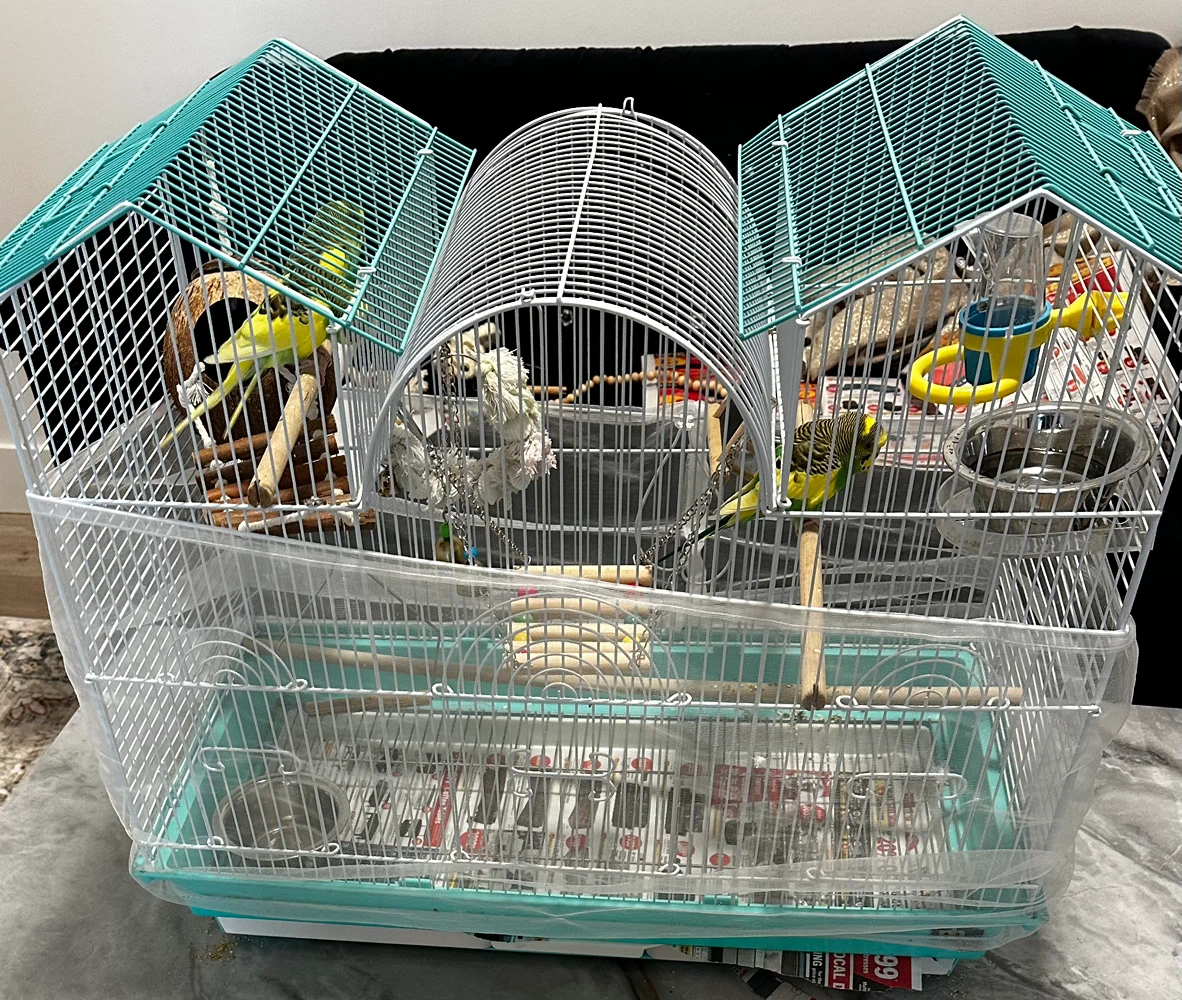 Budgies,Bird Cage with Accessories