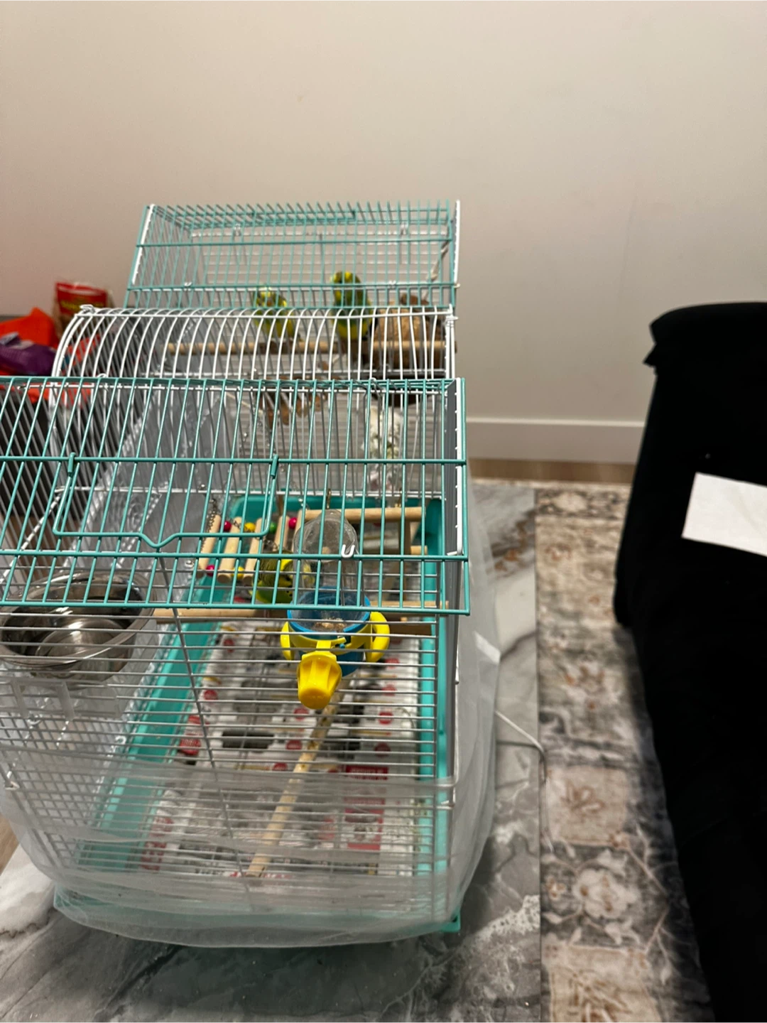 Budgies,Bird Cage with Accessories - photo 2