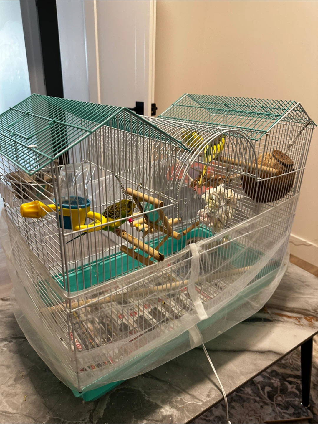 Budgies,Bird Cage with Accessories - photo 4