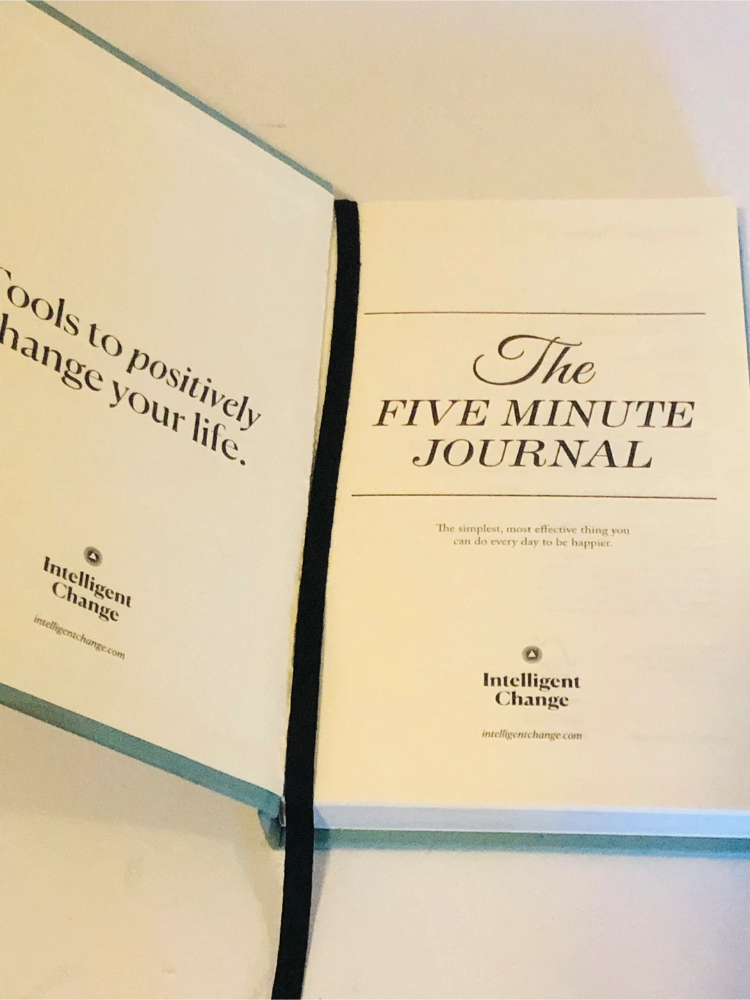 NEW: The Five Minute Journal by Intelligent Change - photo 3