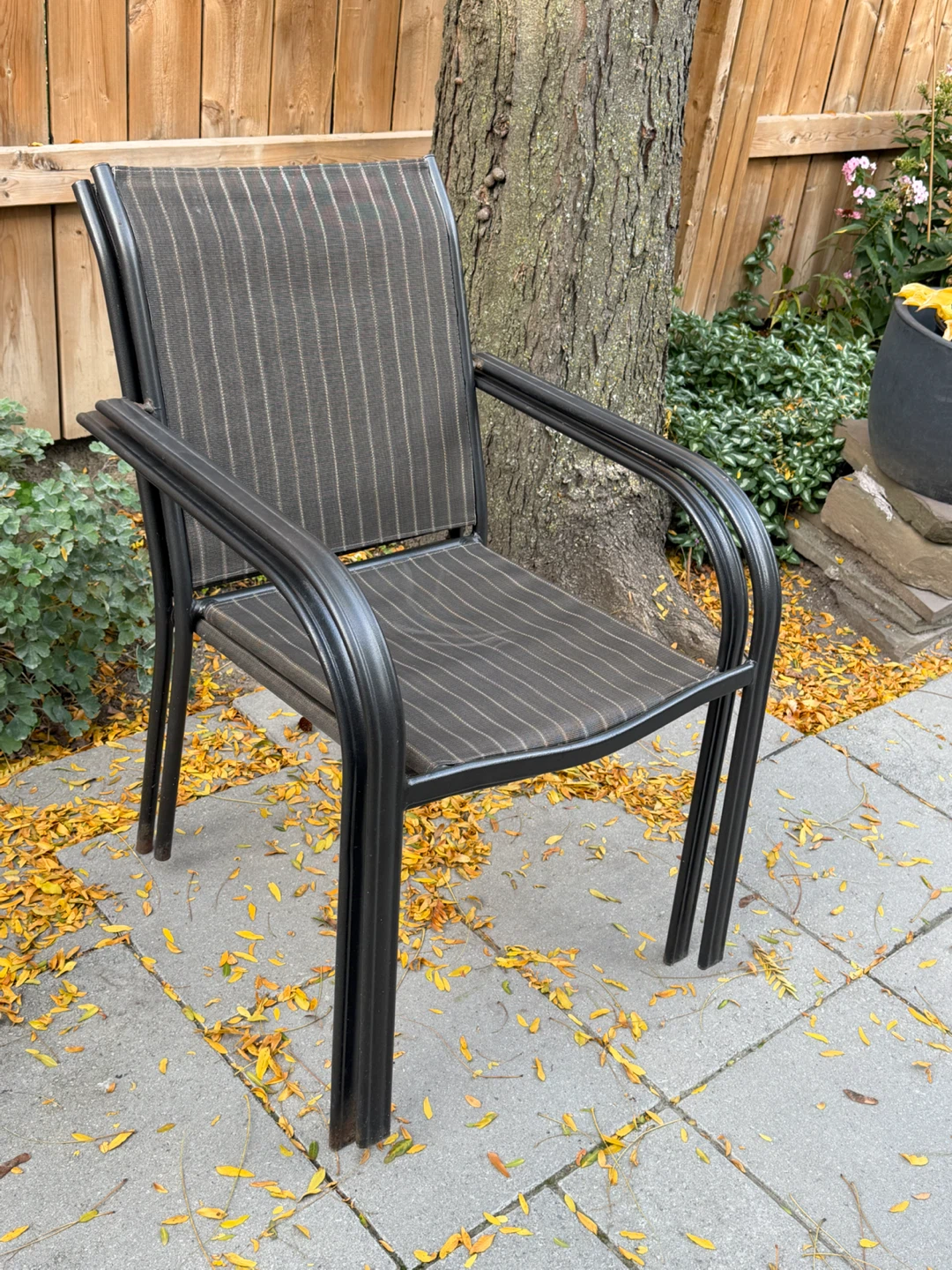 Outdoor Patio Chair
