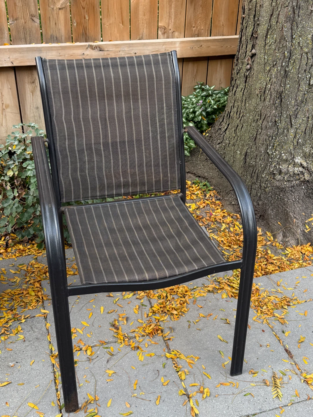 Outdoor Patio Chair - photo 3