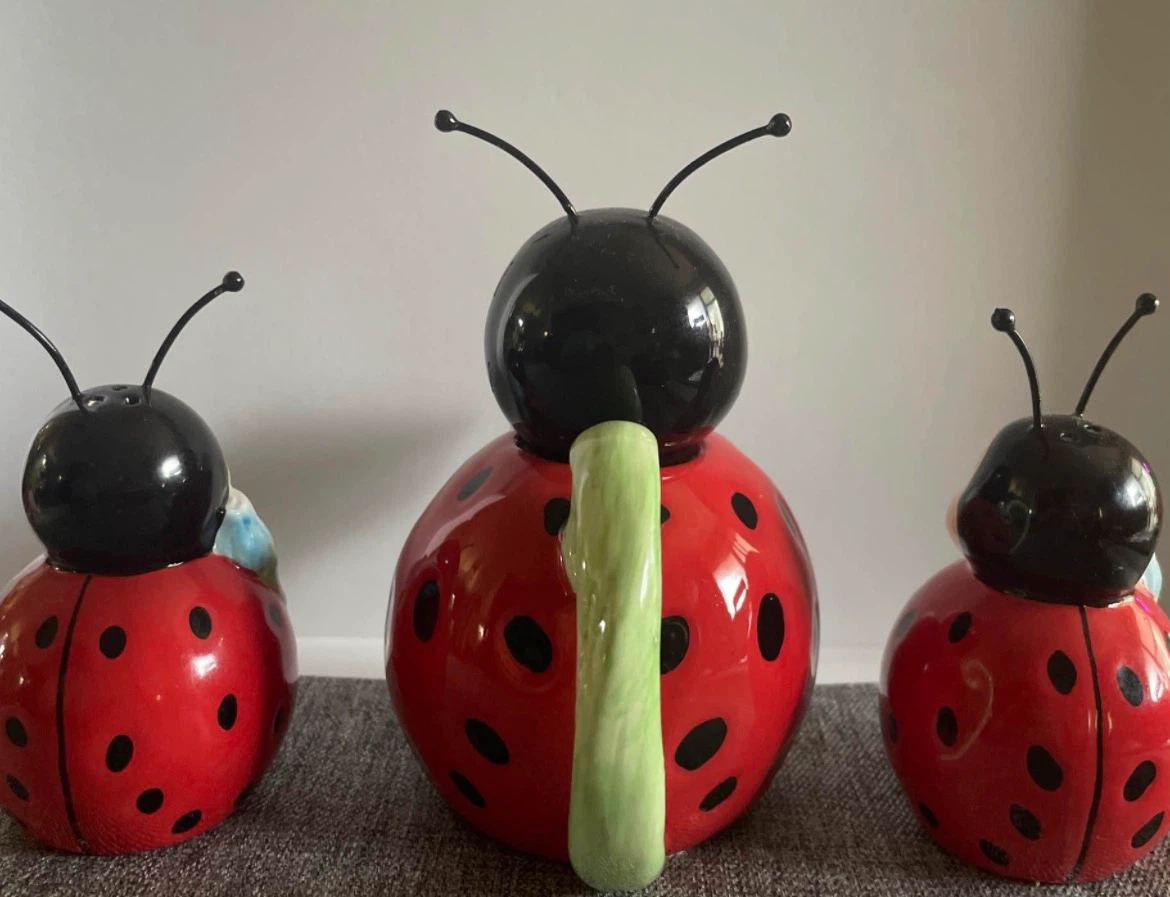 Burton Ceramic Ladybug Teapot and Creamer Set - photo 4