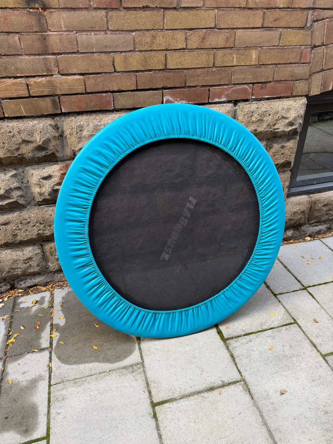 Flashhouse Mini Fitness Trampoline