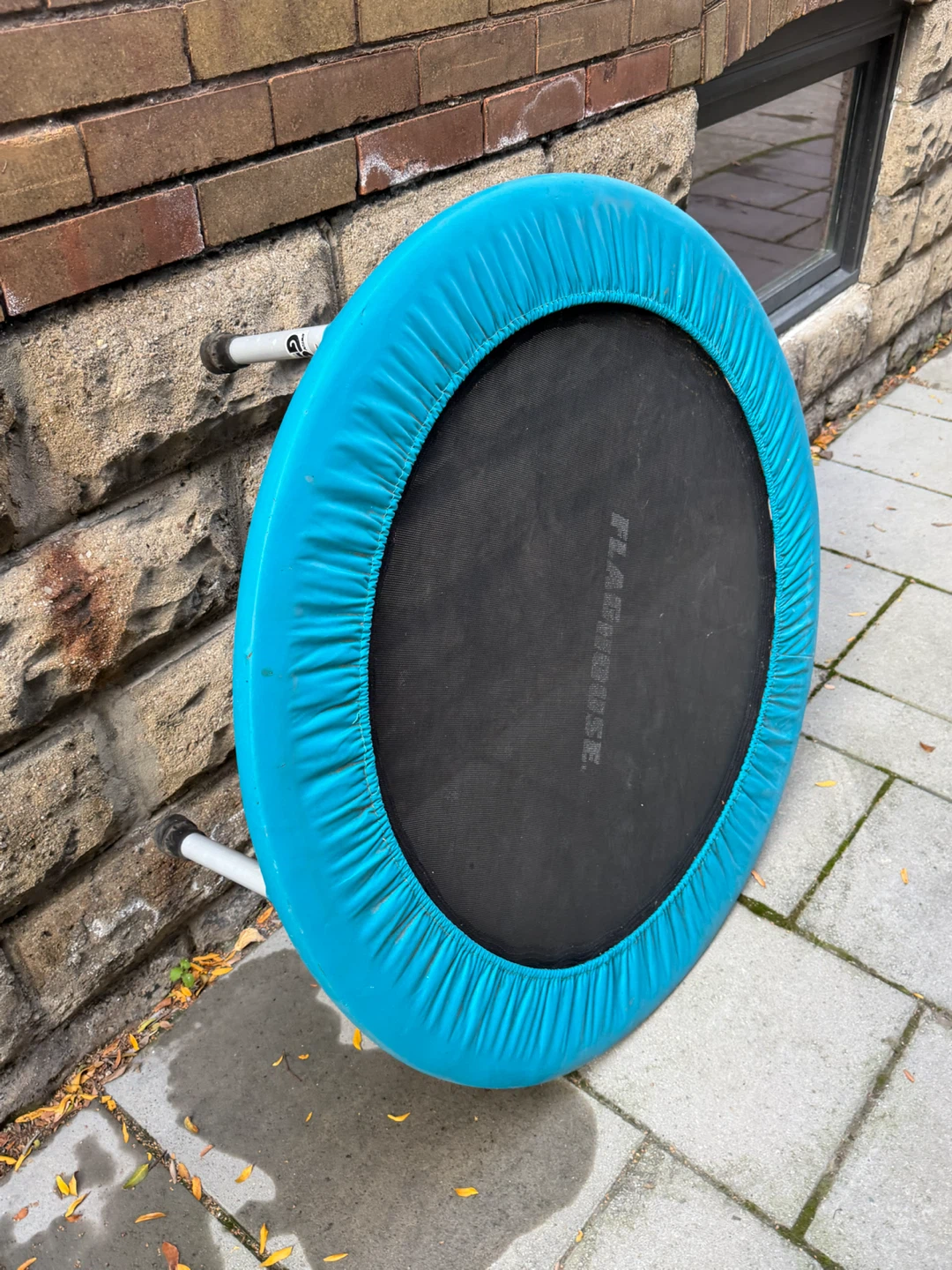 Flashhouse Mini Fitness Trampoline - photo 4