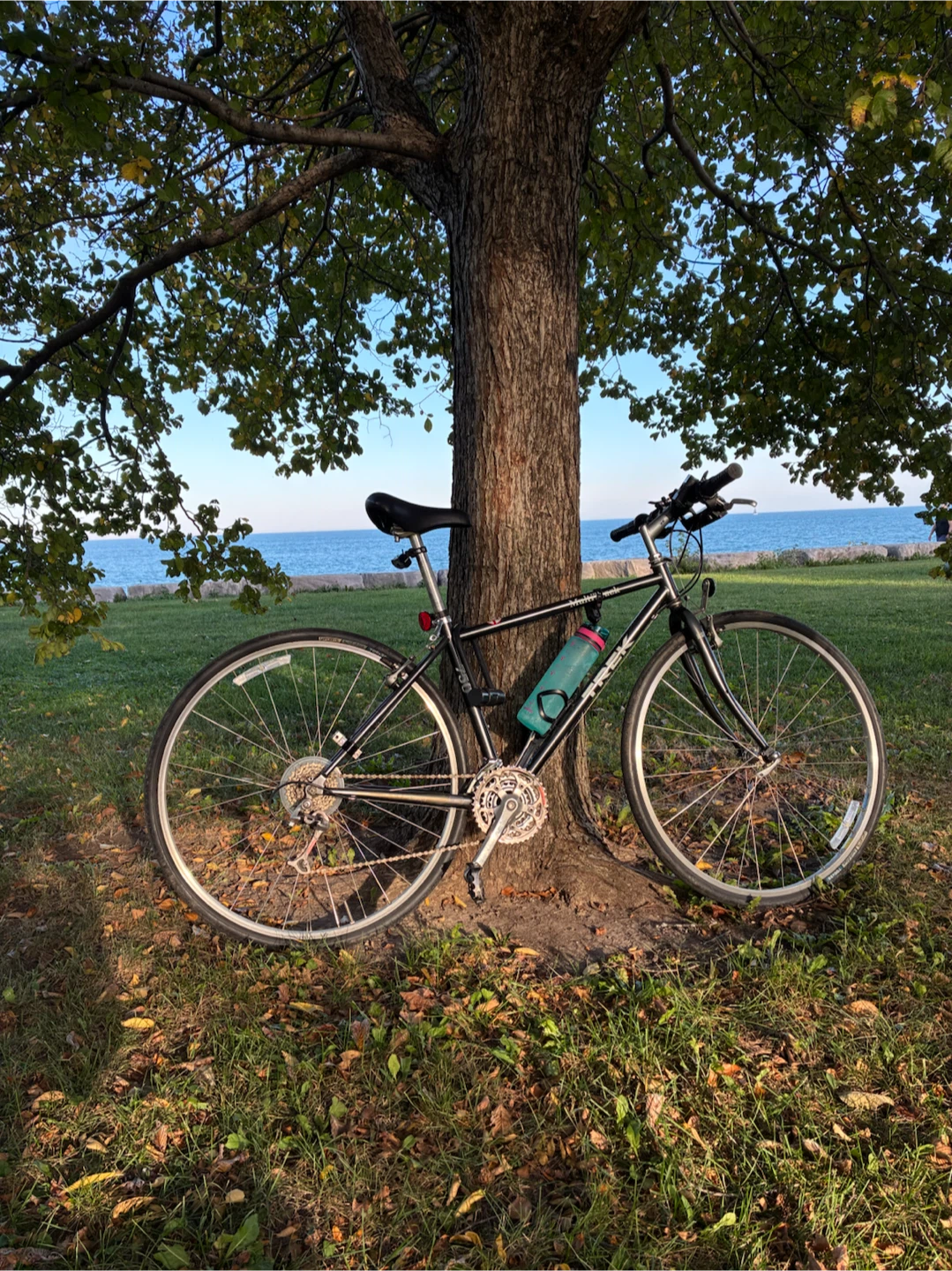 Black Hybrid Bike + Accessories Included 🚲